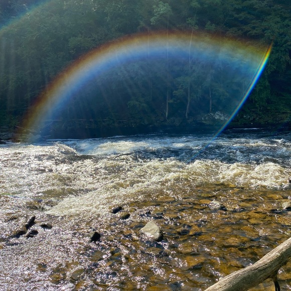 Meet your Posher, Kathryn - Picture 4 of 6